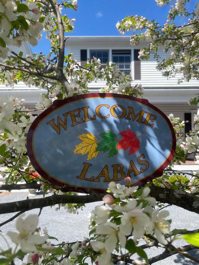 Williston Village Inn Burlington Kültér fotó